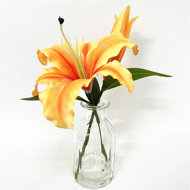 B240565_lilies arrangement in vase_